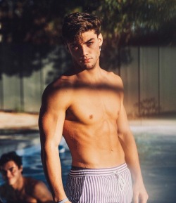 graysondolandaily:  