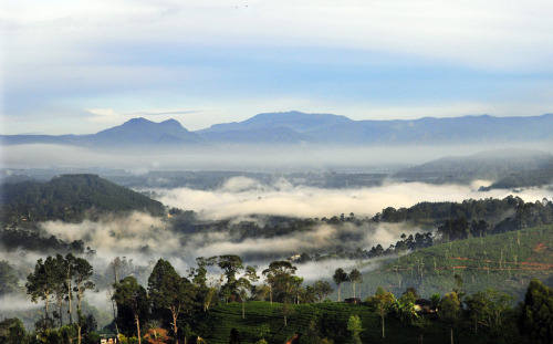 Sri Lanka.