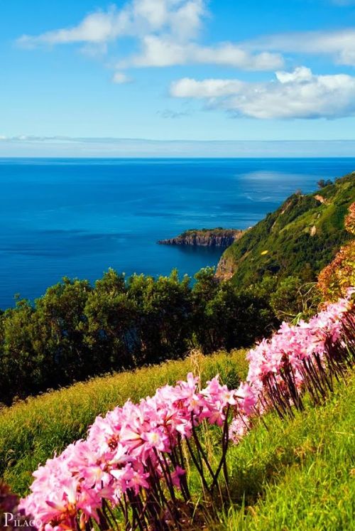 zosia24:  Cliffs of São Miguel Island, Azores Portugal