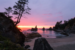 softwaring:    Shi Shi Beach, Washington