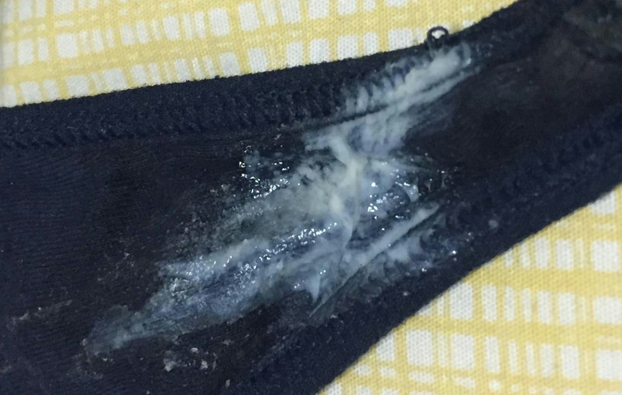mrmeethre3:  Follow me for more hi quality photos of beautiful panties!