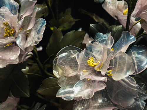 frankmorss:Hibiscus made of rose quartz and serpentine from China.-Natural History Museum Vienna, Au