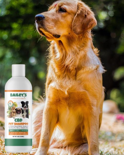 Formulated specifically for dogs &amp; cats with sensitive skin, our PH balanced pet shampoo con