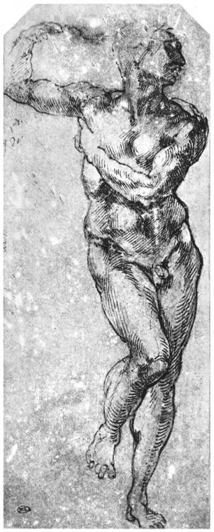 Study of nude man, 1511, Michelangelo BuonarrotiMedium: ink,paper