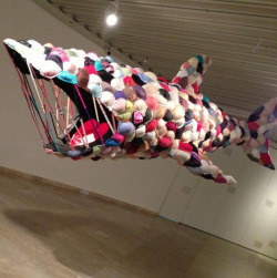 nevver:Bra shark  i did not realize that