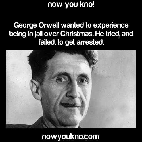 nowyoukno:  10 Christmas Facts Click Here for more!