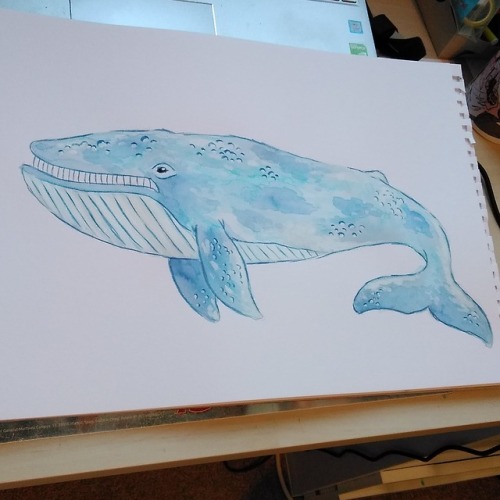 Blue Whale, Great White Shark and seaweed guys watercolour doodles.