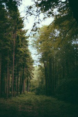 eliego:  untitled by mimi c on Flickr. 