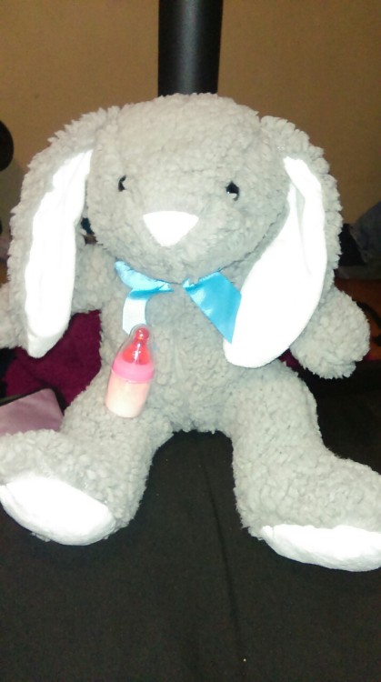 littleminimomo:  Some days, you just gotta enjoy the little victories. Such as, by some miracle, getting a stuffed bunny (his name is Usagi) AND a Baby Bottle Pop on the SAME DAY