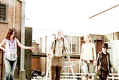 a-pathetic-fangirl:  tethrasing-deactivated20170803:  [8/?] photosets of the snarking dead   sassmasters