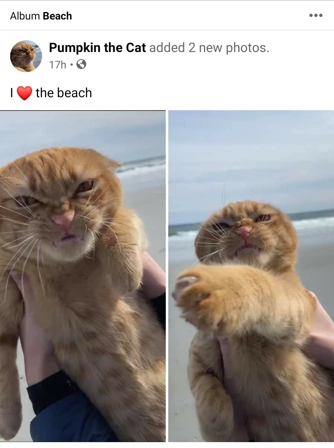 wyldstallyn:wyldstallyn:love him