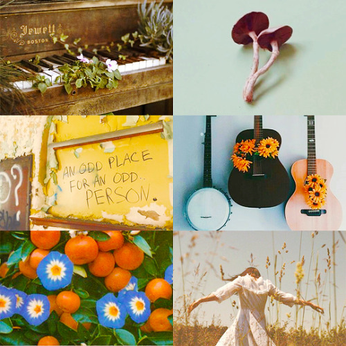 P!ATD Aesthetics: Pretty Odd“When the moon fell in love with the sun all was golden in the sky, all 