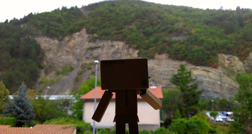 danboard