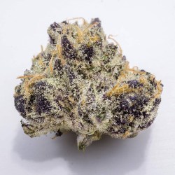 Myskunkreligion:  Big Bud