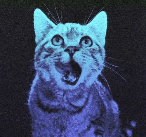 delight&ndash;paradise:  i-walk-without-you:  violet-w0nderland:  t-0xicity: