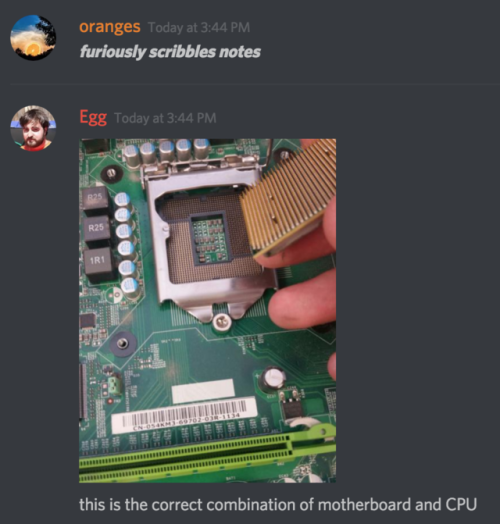 suddenlyoranges:egg installs a cpu