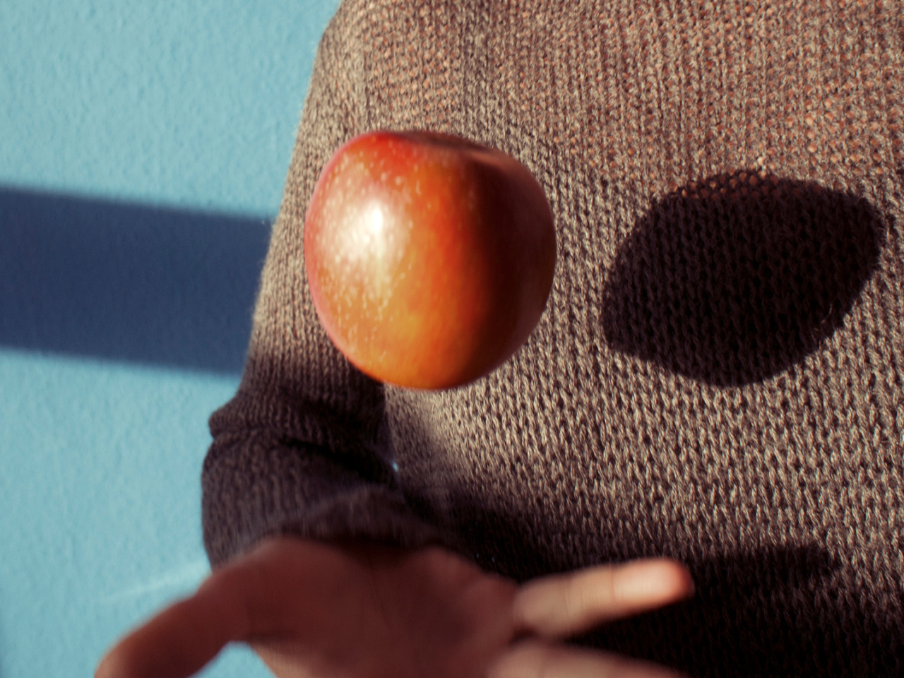 tulipsy:  indie ☆ 