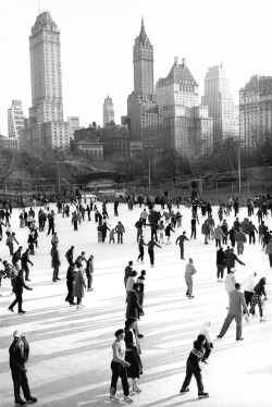 birdsong217:  Fred Stein Wollman Rink, New York, 1951.