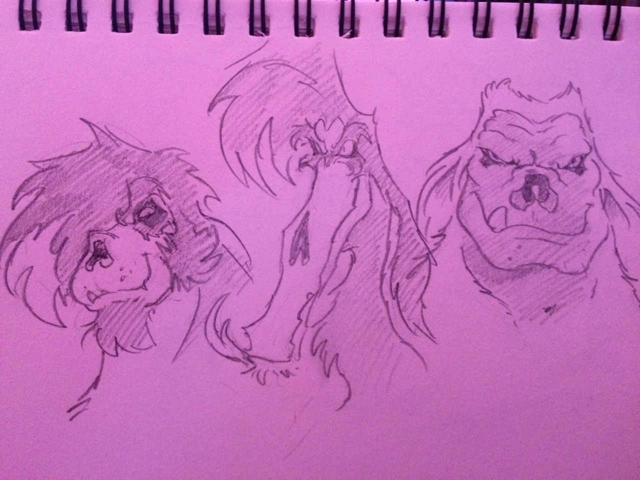Gashire sketches