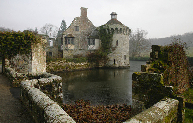 myprettyuniverse:Winter Garden  (explored) by Adam Swaine on Flickr.