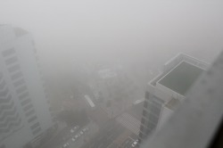 foggies:  ☹☹☹☹foggy☹☹☹☹