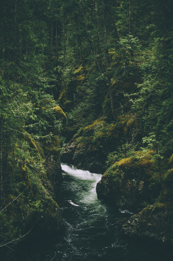 deeplovephotography:  instagram | flickr