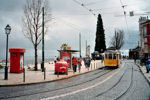 sem título by Monica Forss on Flickr.