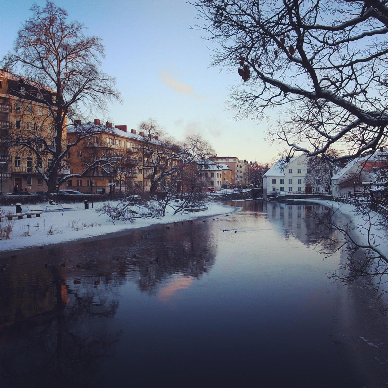 bowhurst:  ×  Just beautiful things   ×  Also on Instagram  × 