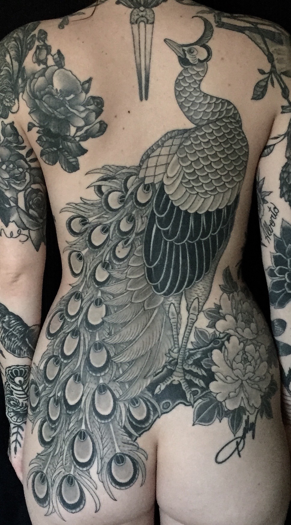 Japanese Peacock Tattooasian Phoenix Fire Bird Stock Vector Royalty Free  1213143172  Shutterstock