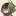 sont: