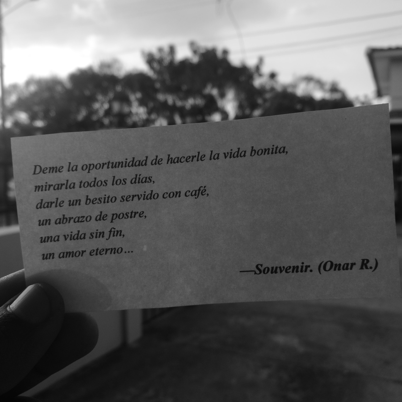 sovuenir:  Deme la oportunidad de hacerle la vida bonita,mirarla a los ojos,darle un besito servido con café,un abrazo de postre,una vida sin fin,un amor eterno…—Souvenir. (Onar R.)