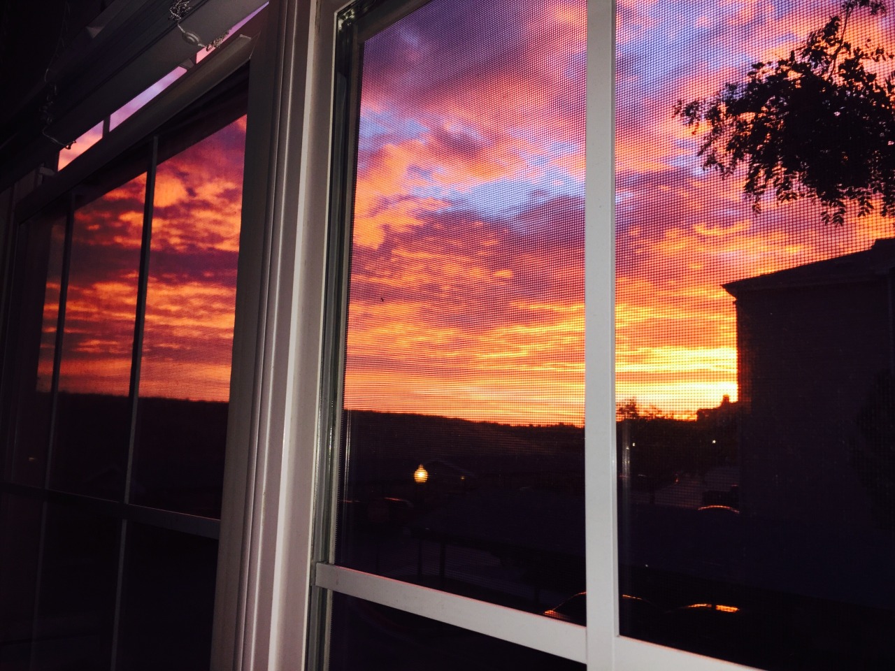youbeccabelieveit:  Hi sunrise, you’re not real.