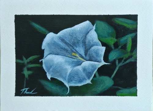 Moonflower, Acrylic On Paper, 7.55.5 In