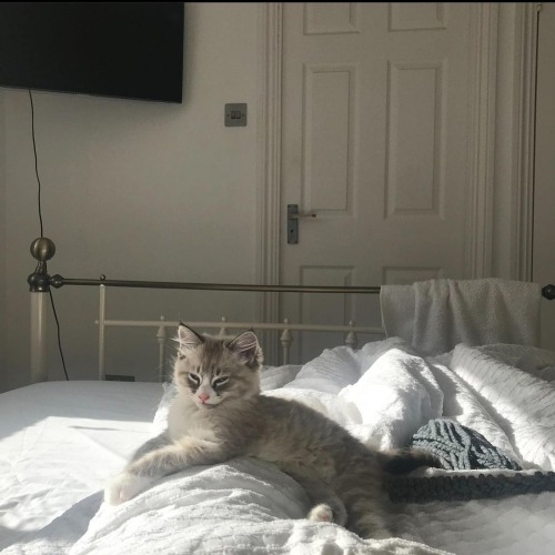 Niki Posted Lots Of Baby Photos Of Zuko And I'm Melting. One Of These Has Also Been Part Of My Header