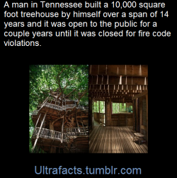 ultrafacts:  It was created by Horace Burgess.