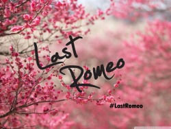 atynsuh:  4 Seasons #LastRomeo 