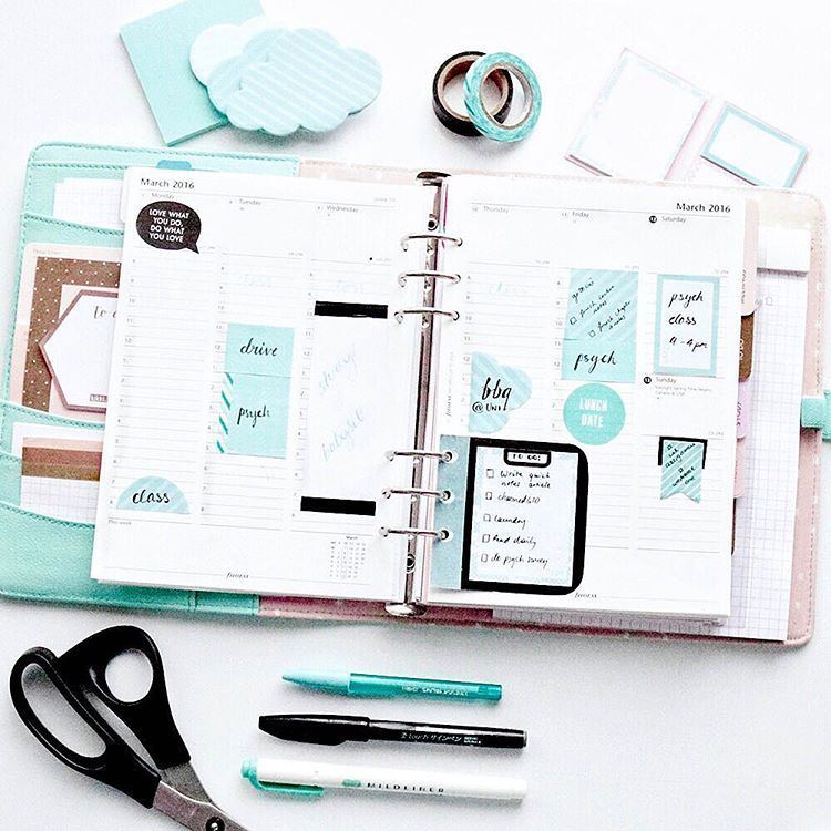 The Mint Aesthetic