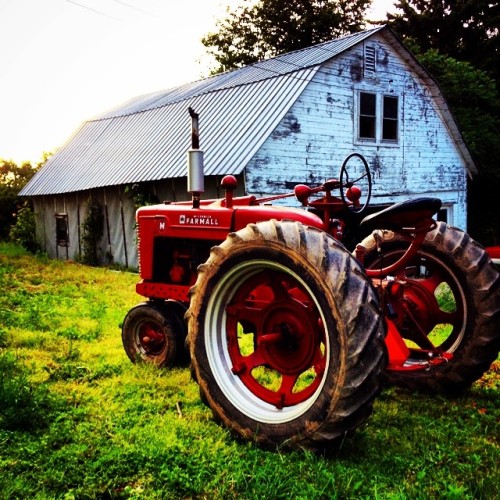 meauw-meauw: Baby steps. #tractor #farmall #farm