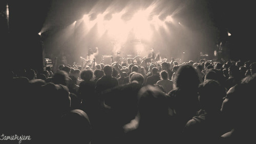 jamieaylene:  Man Overboard performing at the Lost Tape Collective Holiday Show 2014 