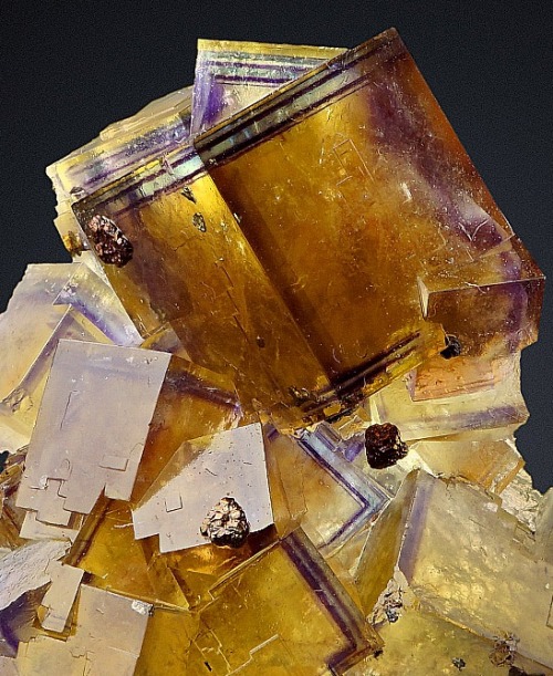 bijoux-et-mineraux:Fluorite with Chalcopyrite - Bergmännisch Glück Mine, Frohnau, Erzgebir