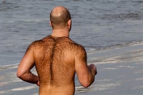 Hairy Men