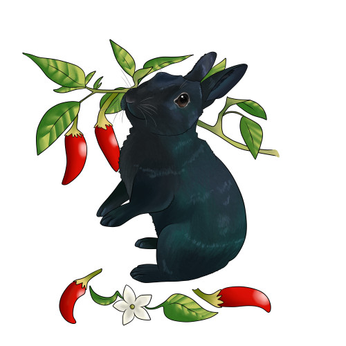 Pepper with and without chilis for @carolinarabbits <3Pepper + Chilis: Society6 ; RedbubblePepper