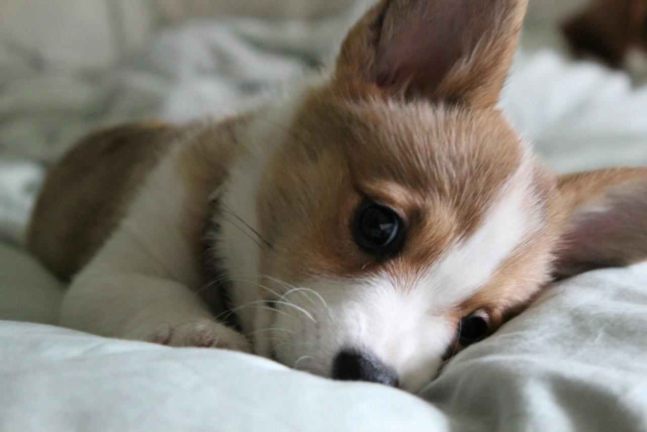 forkristassake:  okay but why couldn’t she stay this cute? 