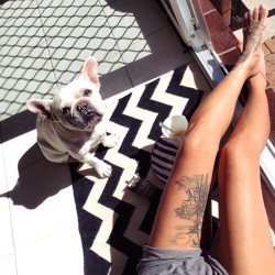 joyhysteric:  Breakfast with Pablo ☕️🌞 #legs #chevronprint #frenchbulldog #tattoo