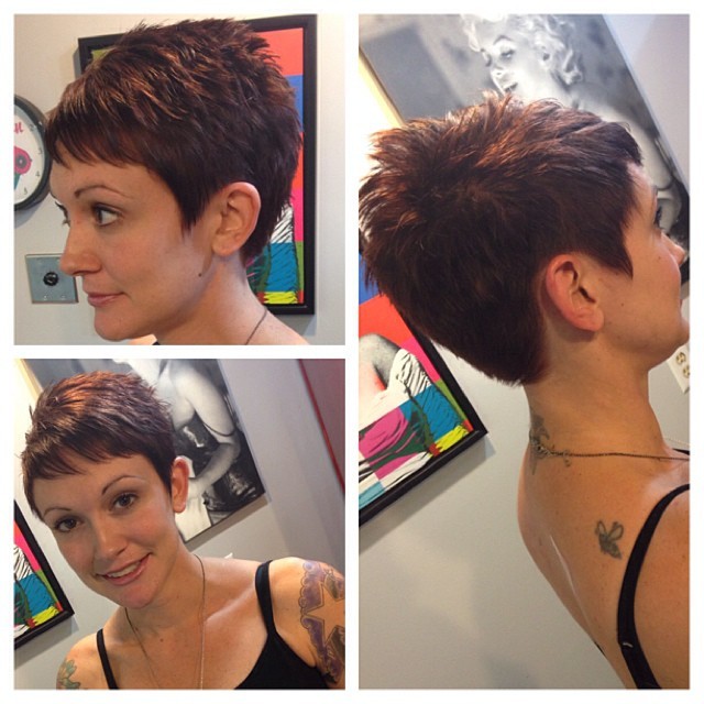 Proper Pixie Cuts — Rich chocolate brown color and a pixie cut for my...