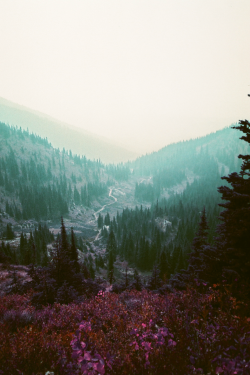 expressions-of-nature:  Whitefish, Montana by Dandelion Gum 