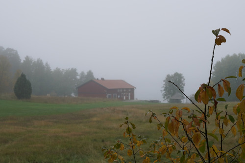 swedishlandscapes: What would autumn be without these grey days?