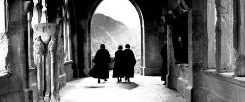lilypottar:  “He knew that Ron and Hermione were more shocked than they were letting on, but the mere fact that they were still there on either side of him, speaking bracing words of comfort, not shrinking from him as though he were contaminated