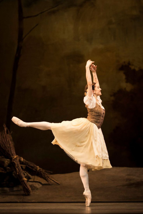 theroyalballetandi: Marianela Nuñèz, aka the gift that keeps on giving, in Giselle as 