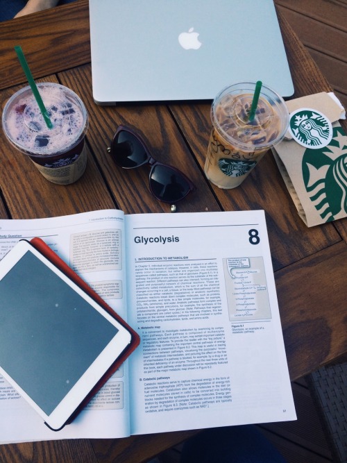 watercolor-trees:  April 11 // 16:31 studying outside today bc it finally decided to be warm biochem sucks a lot less when it’s 21 degrees outside